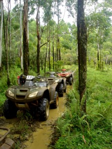 Atvs on the trails